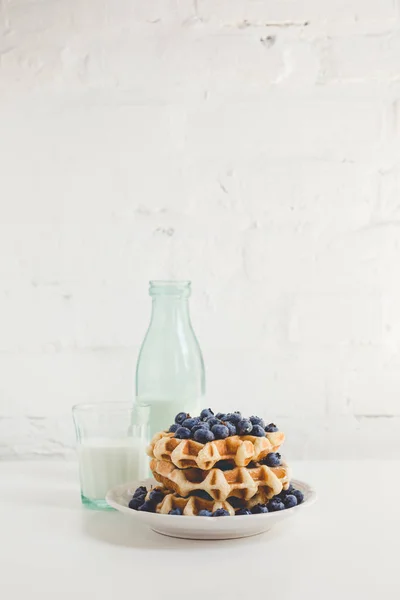 Waffles with blueberries and milk — Stock Photo