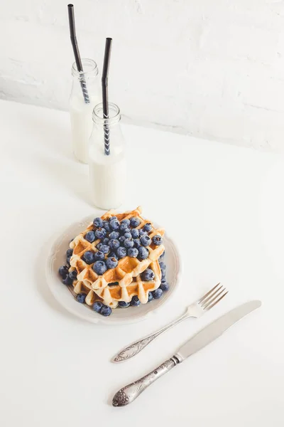 Waffles with blueberries and milk — Stock Photo