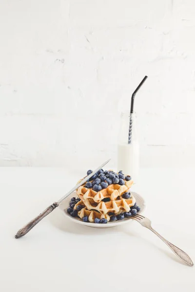 Waffles with blueberries and milk — Stock Photo