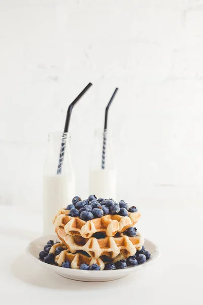 Waffles with blueberries and milk — Stock Photo