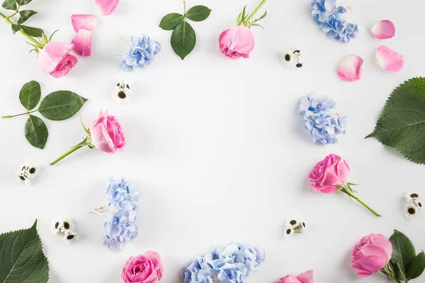 Cadre de roses, fleurs d'hortensia — Photo de stock
