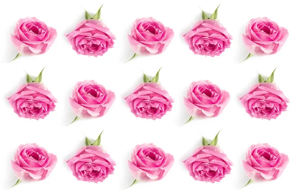 Fond rose roses — Photo de stock