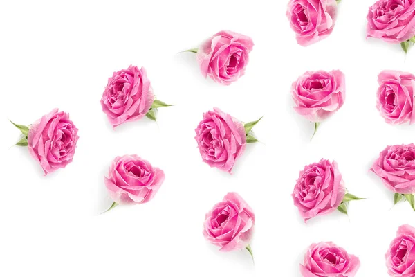 Fondo rosas rosadas - foto de stock