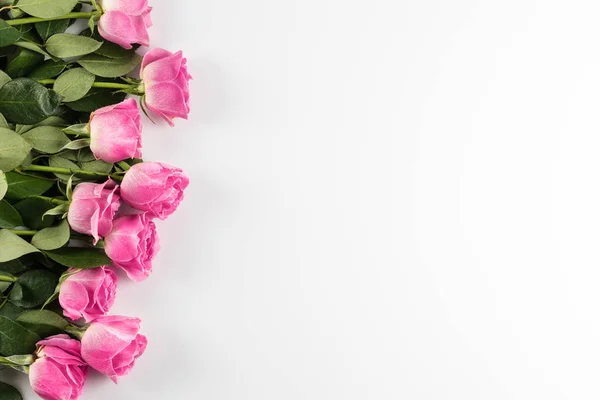Розовые розы с копировальным пространством — стоковое фото
