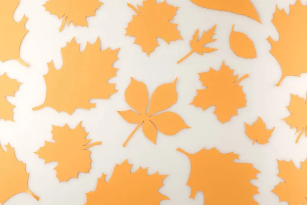Composición de varias hojas de otoño - foto de stock
