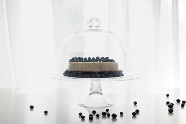 Cheesecake with blueberries on glass stand — Stock Photo