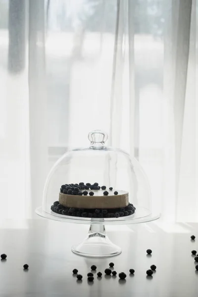 Cheesecake with blueberries on glass stand — Stock Photo