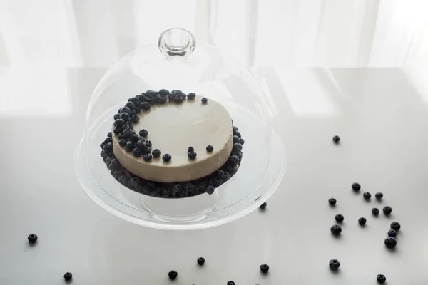 Cheesecake with blueberries on glass stand — Stock Photo