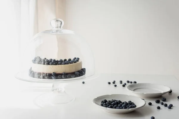 Cheesecake with blueberries on glass stand — Stock Photo