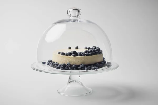 Cheesecake with blueberries on glass stand — Stock Photo