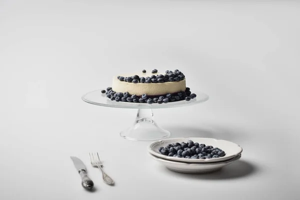Cheesecake with blueberries on glass stand — Stock Photo