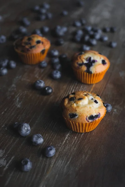 Leckere Cupcakes mit Blaubeeren — Stockfoto