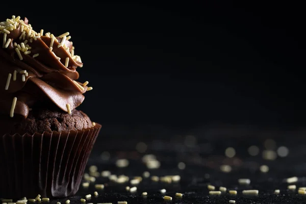 Cupcake de chocolate com cobertura — Fotografia de Stock