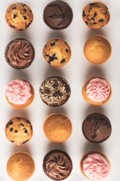 Divers cupcakes sucrés — Photo de stock