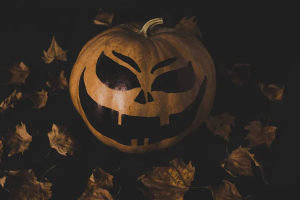 Kürbis für Halloween und getrocknete Blätter — Stockfoto