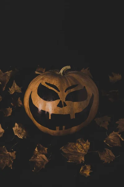 Calabaza para halloween y hojas secas - foto de stock