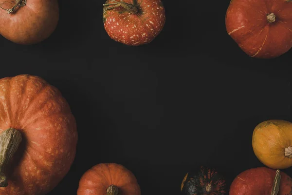 Calabazas - foto de stock