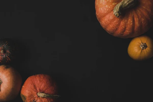 Pumpkins — Stock Photo