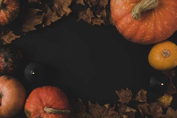 Calabazas y hojas secas - foto de stock