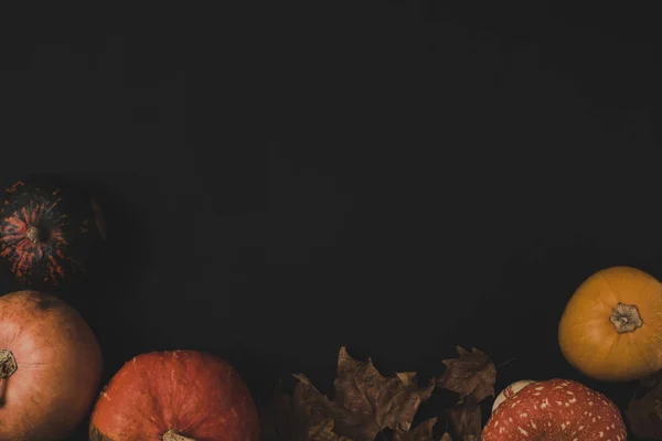 Calabazas y hojas secas - foto de stock