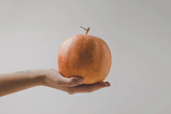 Mano celebración calabaza - foto de stock