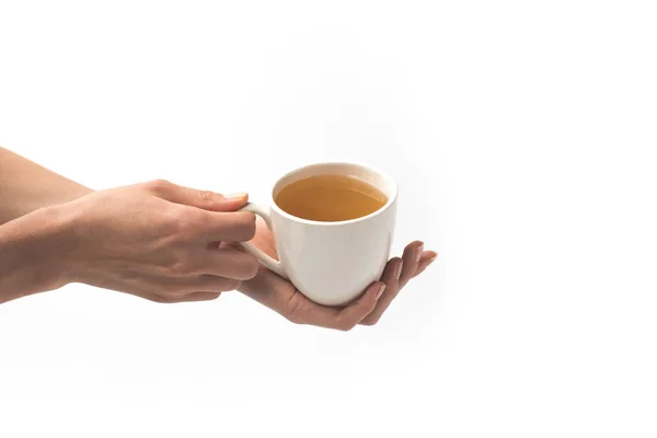 Xícara de chá de ervas nas mãos — Fotografia de Stock