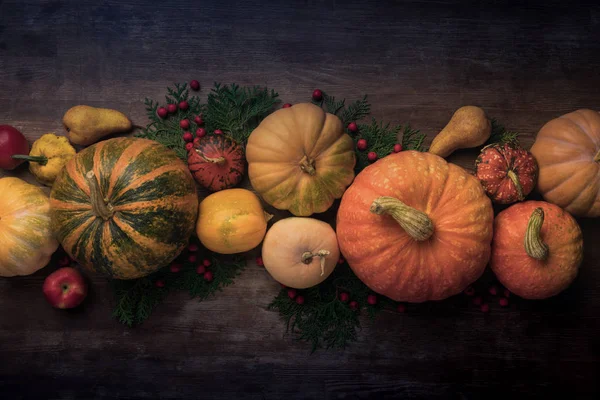 Pumpkins — Stock Photo