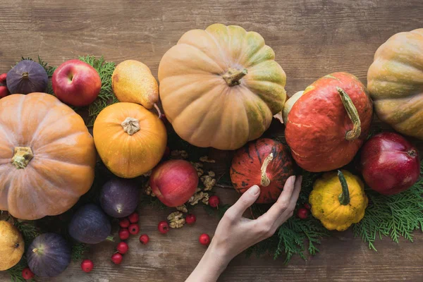 Cosecha de otoño - foto de stock