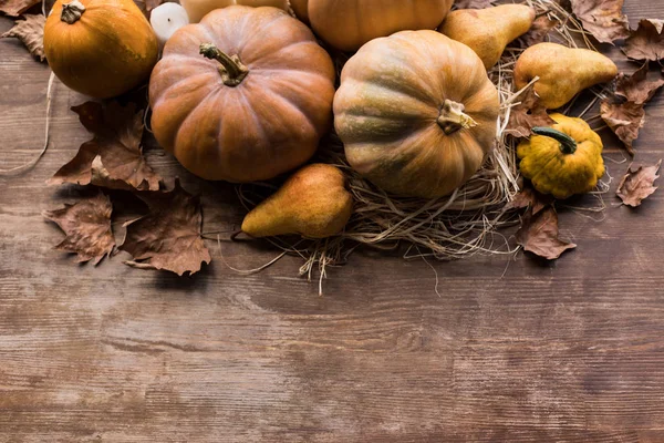 Raccolta autunnale e foglie — Foto stock