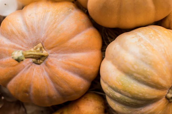 Ripe pumpkins on table — Stock Photo