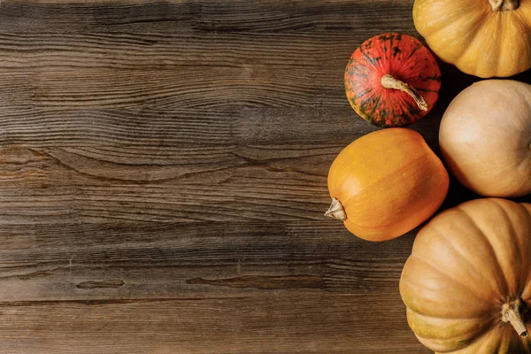 Pumpkins — Stock Photo