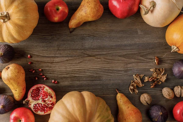 Рамка з органічних гарбузів і фруктів — стокове фото