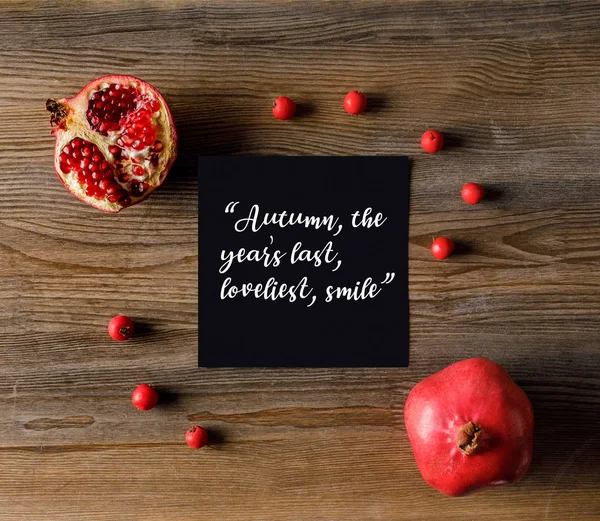 Empty card with pomegranates — Stock Photo