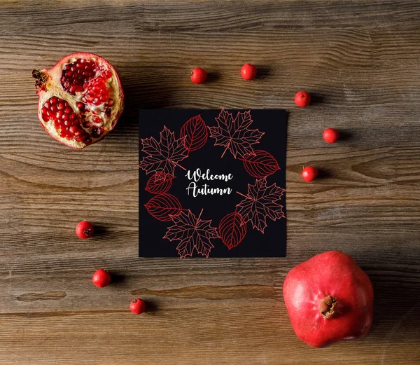 Empty card with pomegranates — Stock Photo