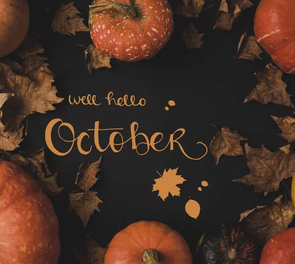 Calabazas y hojas secas — Stock Photo