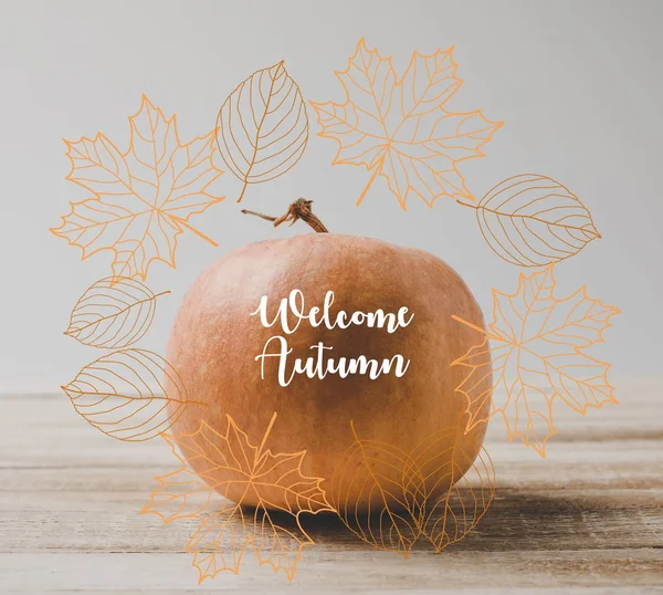 Pumkin — Stock Photo