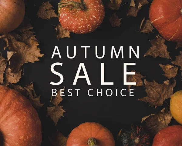 Autumn sale concept — Stock Photo