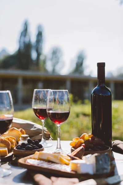 Vino rosso con snack — Foto stock