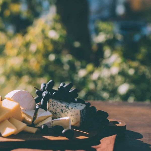 Variação de queijo e uvas — Fotografia de Stock