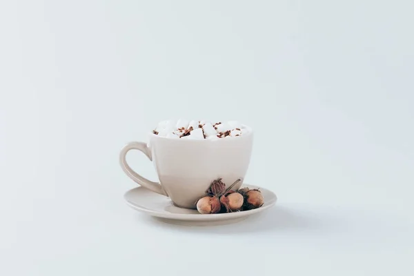 Cacao — Stock Photo