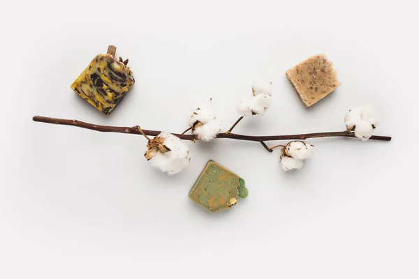 Handcrafted soap and cotton branch — Stock Photo