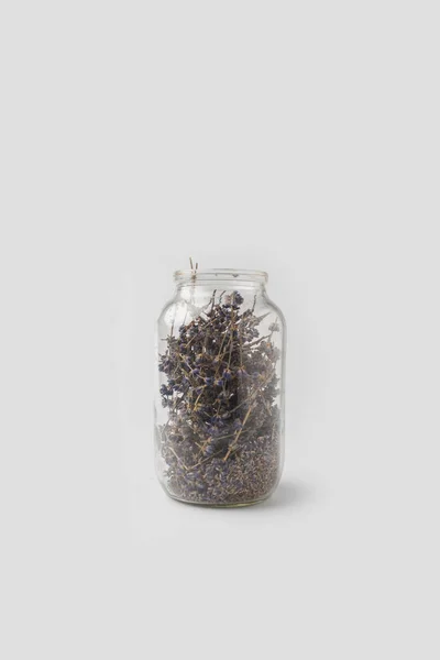 Lavanda — Fotografia de Stock