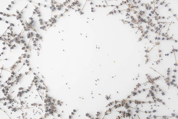 Round frame of lavender flowers — Stock Photo