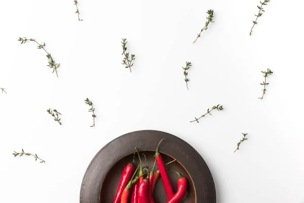 Rote Chilischoten auf schwarzem Teller — Stockfoto