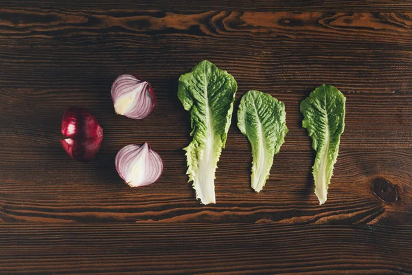 Oignon et feuilles de chou vert — Photo de stock