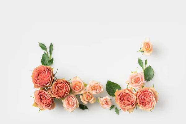Cadre fleurs roses — Photo de stock