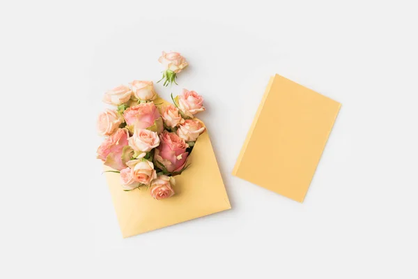 Pink roses in envelope — Stock Photo