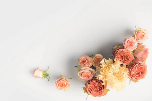 Rosa rosa flores - foto de stock