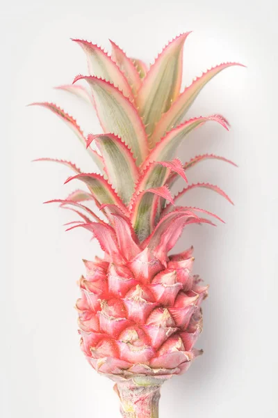 Pineapple — Stock Photo