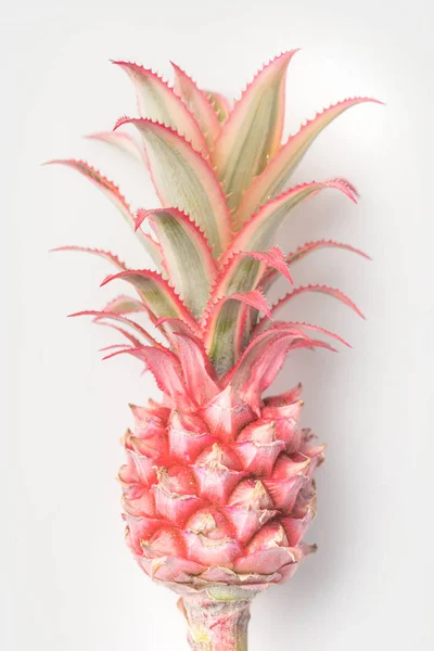 Ananas — Foto stock